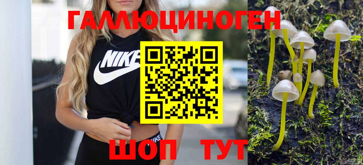 Галлюциногенные грибы Psilocybe Миллерово