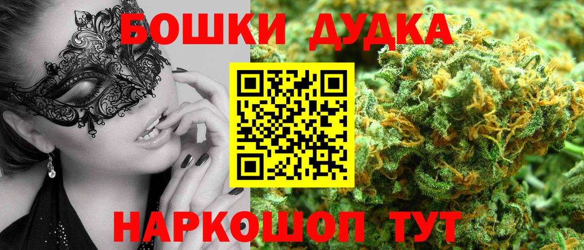 Бошки Шишки планчик Миллерово